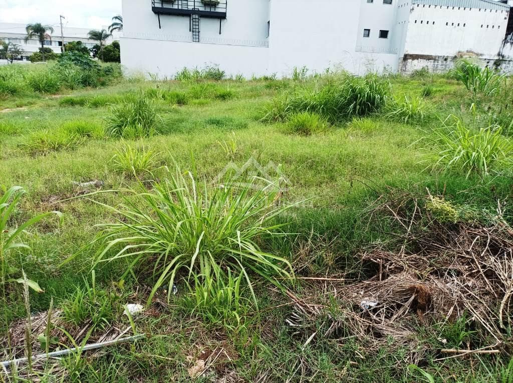 Lote para Venda, em Patos de Minas, bairro Caiçaras