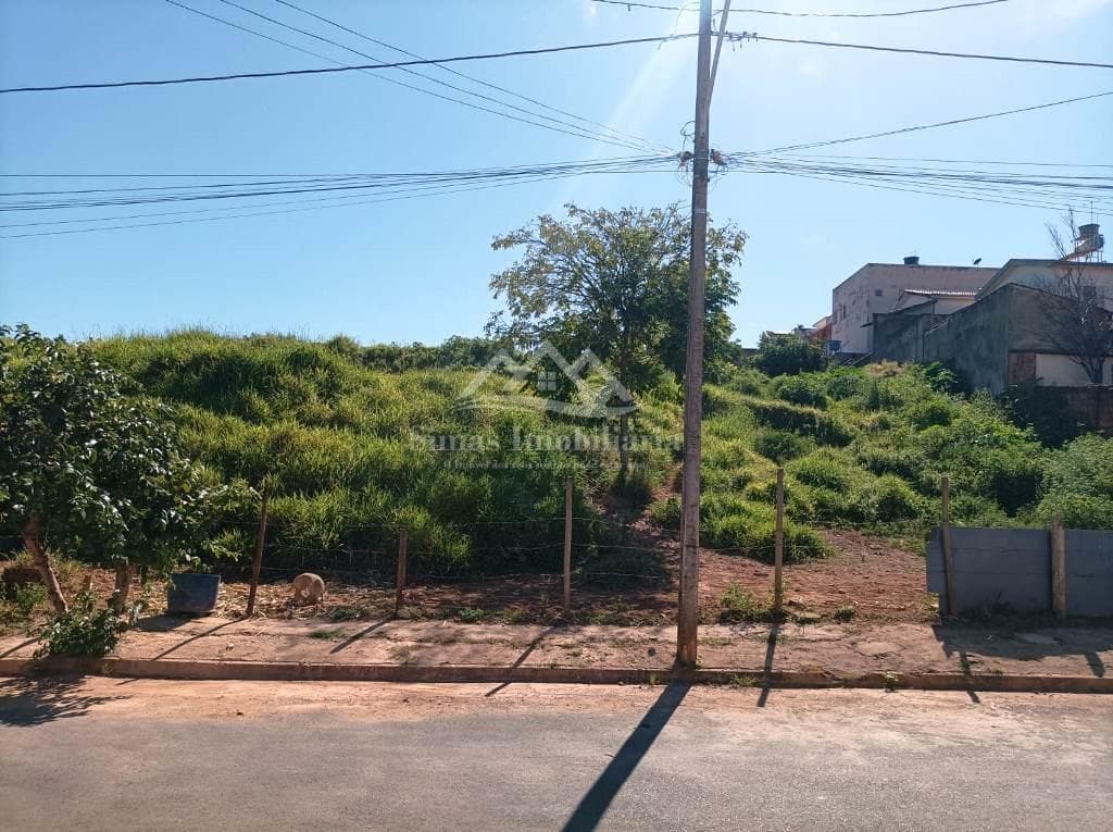Lote para Venda, em Patos de Minas, bairro Santa Luzia